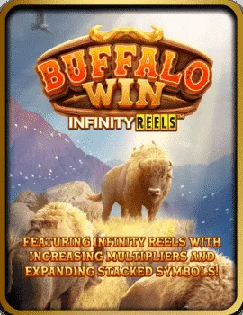BUFFALO-WIN (2)